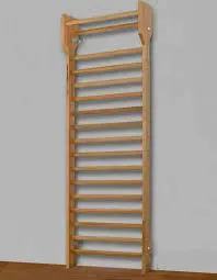 وحدة التسلق الحائطي للعلاج الطبيعي