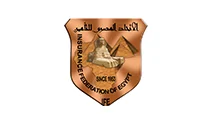 الاتحاد المصري للتأمين
